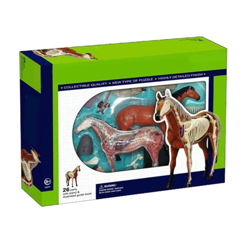 Realistic Horse Organ Anatomy Model for Study and Medical Teaching, Horse Anatomy Model for Child Medical Teaching Toy