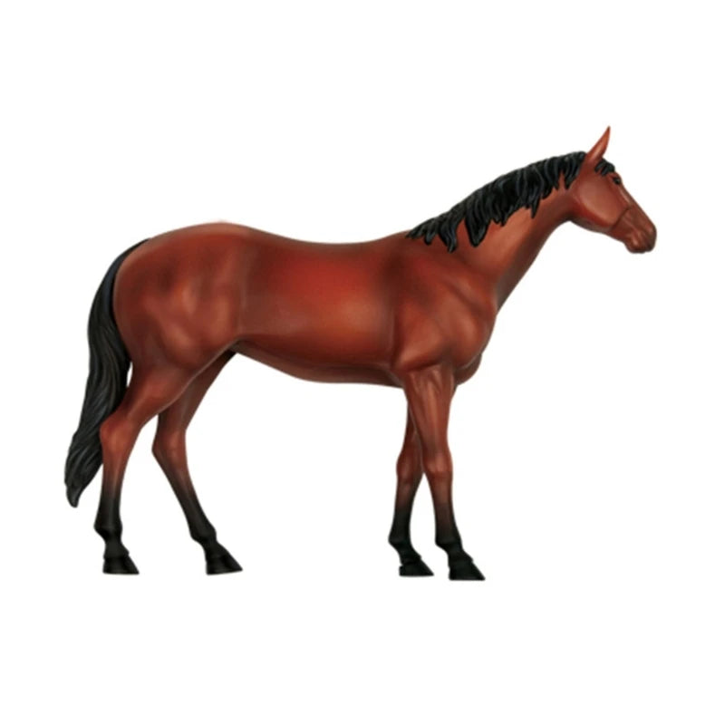 Realistic Horse Organ Anatomy Model for Study and Medical Teaching, Horse Anatomy Model for Child Medical Teaching Toy